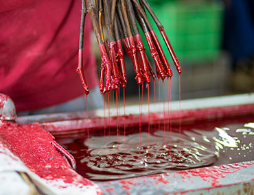 Especialistas plantas de vid, portainjertos